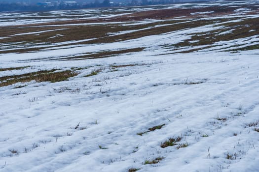 field with melting snow and last year's grass at the end of winter