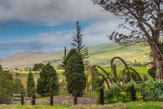 Waimea, Hawaii, USA. - January 15, 2020: Parker Ranch headquarters. View over green hills under cloudscape with blue patches from garden. Red roofs on white houses in distance.