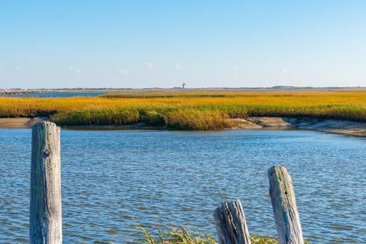 Salt Marsh and Long Point Lighthouse in distance on horizon near Provincetown Cape Cod, USA.