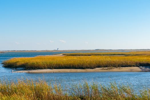 Salt Marsh and Long Point Lighthouse in distance on horizon near Provincetown Cape Cod, USA.