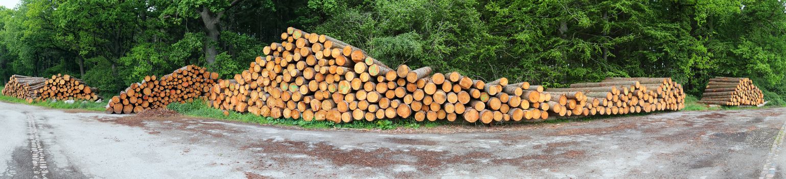 Detailed close up texture of stacked firewood with annual rings in high resolution