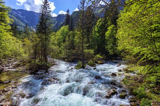 Mountain wild river landscape. River valley in mountains. Wild mountain river panorama. Small waterfall in forest stream. Long exposure. Fast water stream in mountain river with coniferous forest