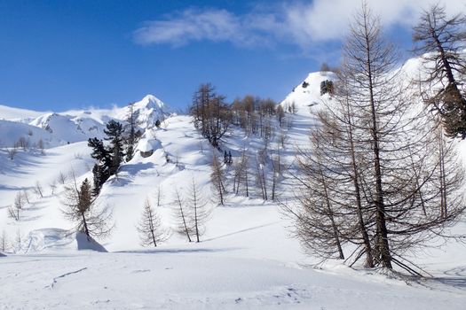 Casaccia, Switzerland: winter landscape, Lareccio canals and Colombe pass