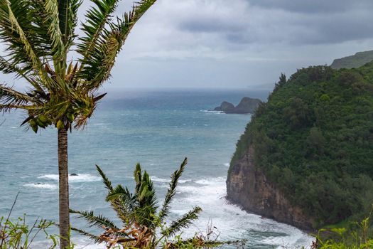 Kohala, Hawaii, USA. - January 15, 2020: Coastline where Pololu valley and its beach meets the ocean. Big rocks, tall steep cliffs, green forests and palm tree up front, all under heavy blueish cloudscape.
