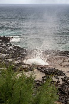 Koloa, Kauai, Hawaii, USA. - January 16, 2020: Gray-azure Pacific Ocean with black rocky coastline shows final seconds of eruption of the Spouting Horn geiser. Some green foliage.