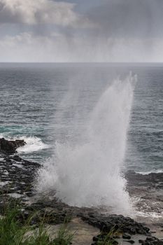 Koloa, Kauai, Hawaii, USA. - January 16, 2020: Gray-azure Pacific Ocean with black rocky coastline shows high and wide eruption of the Spouting Horn geiser. Some green foliage.