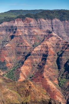 Waimea Canyon, Kauai, Hawaii, USA. - January 16, 2020: Closeup of Red rock steep flank with green tree vegetation on top and in crevasses under blue cloudscape.