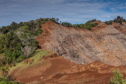 Waimea Canyon, Kauai, Hawaii, USA. - January 16, 2020: Closeup of green tree cover on top of the red rocky side under blue cloudscape.