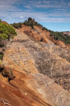 Waimea Canyon, Kauai, Hawaii, USA. - January 16, 2020: Closeup of side with its red rocks and with green tree cover on top under blue cloudscape.