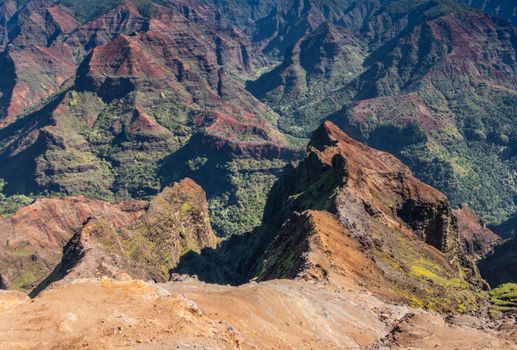 Waimea Canyon, Kauai, Hawaii, USA. - January 16, 2020: Closeup of green tree covered red peaks inside the canyon. Brown rocks up front.