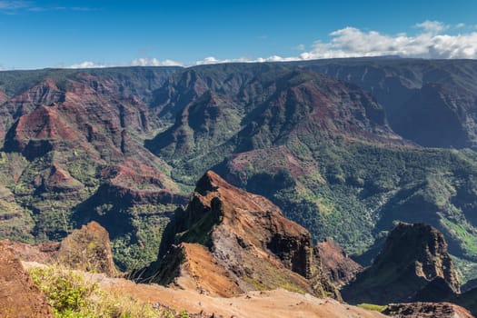 Waimea Canyon, Kauai, Hawaii, USA. - January 16, 2020: Green tree covered red peaks inside the canyon. Brown rocks up front. all under wide blue cloudscape.