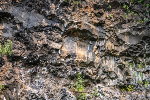 Kamokila Village, Kauai, Hawaii, USA. - January 16, 2020: Closeup of cliff wall of black lava rock discolored by overflowing water. Some green vegetation.