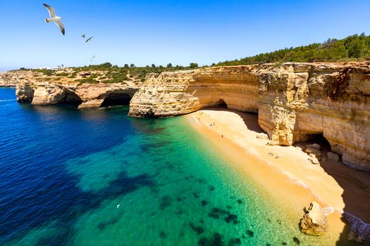 Corredoura Beach, sighted viewpoint on the trail of the Seven Suspended Valleys (Sete Vales Suspensos). Praia da Corredoura with flying seagulls near Benagil village, Algarve, Portugal.