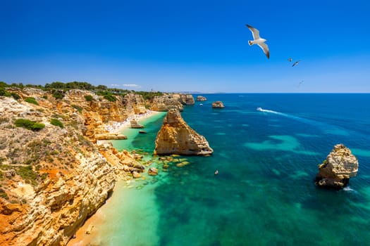 Praia da Marinha, beautiful beach Marinha in Algarve, Portugal. Navy Beach (Praia da Marinha) with flying seagulls over the beach, located on the Atlantic coast in Lagoa Municipality, Algarve.