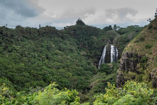 Nawiliwili, Kauai, Hawaii, USA. - January 16, 2020: White water Opaekaa Falls in wider landscape surrounded by green forest under silver sky. Brown-black rock cliffs.