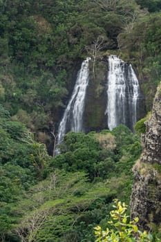 Nawiliwili, Kauai, Hawaii, USA. - January 16, 2020: Closeup of White water Opaekaa Falls surrounded by green forest. Brown-black rock cliffs.