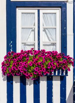 Colored Windows of "Costa Nova do Prado", Portugal. Windows in typical small wooden house with colorful stripes in Costa Nova. Aveiro. Portugal. Detail of the house in famous resort Costa Nova.