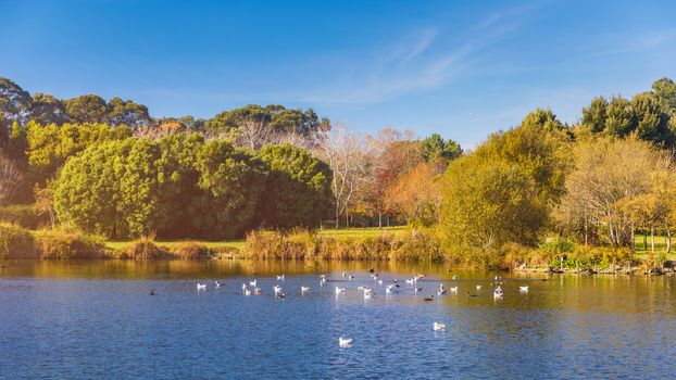Porto City Park, Parque da Cidade do Porto 