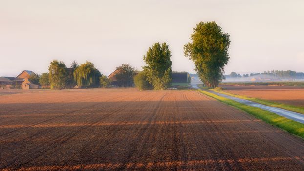 Farm landscape in the foggy morning light.