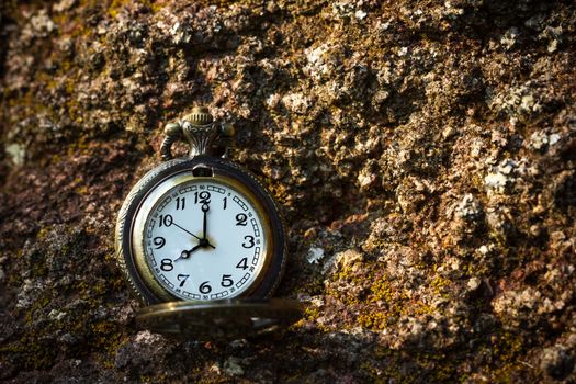 Vintage old pocket watch placed on the rock in forest and morning sunlight. At 8 o’clock. Closeup and copy space.