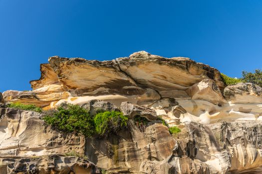 Sydney, Australia - February 11, 2019: Oyster Shell like rock formation on South shore cliffs overlooking Bronte Beach under blue sky. Some green vegetation on side. Dominant yellows and browns.