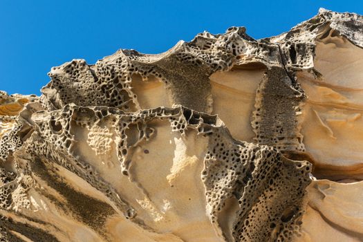 Sydney, Australia - February 11, 2019: Closeup of spectacular rock outcrop at Bronte Beach South cliffs, made by erosion.. Yellows and browns under blue sky. Sponge-like borders of shell like plates sticking out.