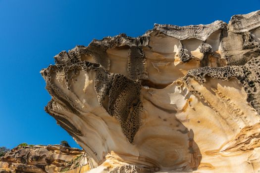 Sydney, Australia - February 11, 2019: Closeup of spectacular rock outcrop at Bronte Beach South cliffs, made by erosion.. Yellows and browns under blue sky. Sponge-like borders of shell like plates sticking out.