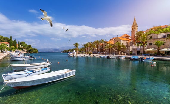 Splitska village with beautiful port and seagull's flying over the village, Brac island, Croatia. Fishing boats in Splitska village on Brac island seafront view, Dalmatia, Croatia, Croatia.