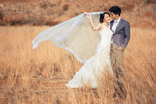 Happy romantic young couple in Meadow
