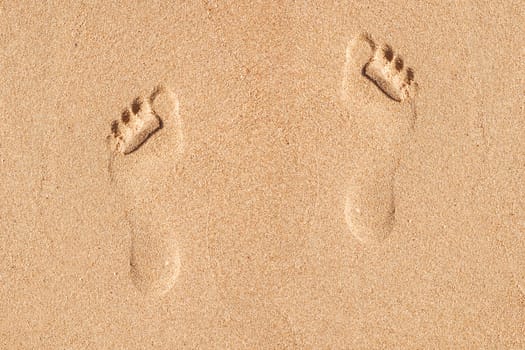 Foot print in the Sand