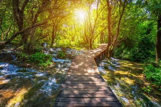Krka national park wooden pathway in the deep green forest. Colorful summer scene of Krka National Park, Croatia, Europe. Wooden pathway trough the dense forest near Krka national park waterfalls.