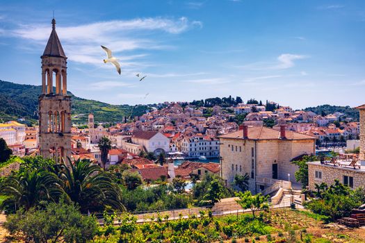View at amazing archipelago in front of town Hvar, Croatia with seagull's flying over the city. Harbor of old Adriatic island town Hvar. Amazing Hvar city on Hvar island, Croatia. 
