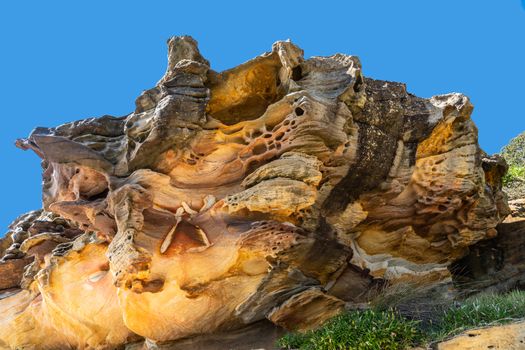 Sydney, Australia - February 11, 2019: Closeup of orange rock formation on South shore near lands end of Bondi beach. Blue sky.