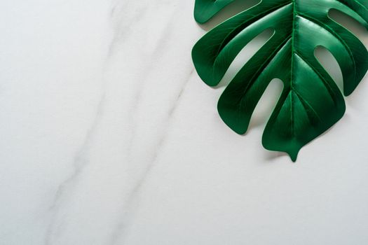 Top view of white tone marble texture abstract background with green natural leaf as frame decoration.