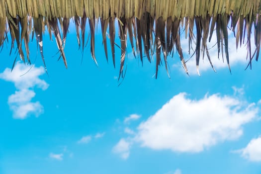 Copy space summer blue sky and white cloud abstract background with dry leaf roof above.