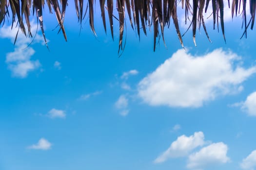 Copy space summer blue sky and white cloud abstract background with dry leaf roof above.