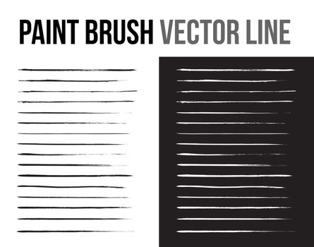 The paint brush handdrawn vector line collection 