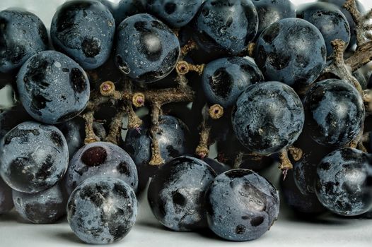 Purple grapes isolated on a white background