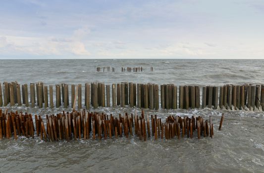 Bamboo and cement poles Embroidered in the sea in a row To slow down the waves