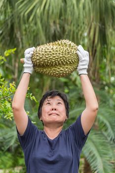 Asian woman farmer holding Durian is a king of fruit in Thailand and asia fruit have a spikes shell and sweet can buy at Thai street food and fruit market at agriculture farm