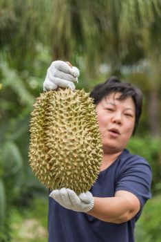 Asian woman farmer holding Durian is a king of fruit in Thailand and asia fruit have a spikes shell and sweet can buy at Thai street food and fruit market at agriculture farm