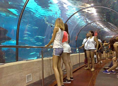 BARCELONA, SPAIN - JULY 4, 2015: Unidentified tourists looking at fishes at the aquarium of Barcelona.

Barcelona, Spain - July 4, 2015: Unidentified tourists looking at fishes at the aquarium of Barcelona.
