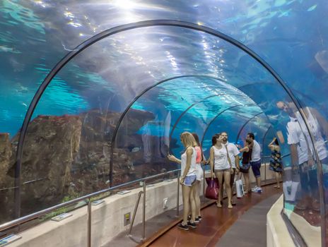 BARCELONA, SPAIN - JULY 4, 2015: Aquarium of Barcelona. Tourists looking at fishes at the aquarium of Barcelona.

Barcelona, Spain - July 4, 2015:  Aquarium of Barcelona. Tourists looking at fishes at the aquarium of Barcelona.