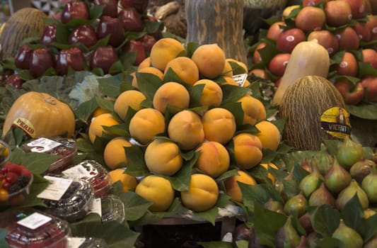 BARCELONA, SPAIN - JULY 6, 2015: Apricots and other fruits at the Boqueria market in Barcelona.

Barcelona, Spain - July 6, 2015: Apricots and other fruits at the Boqueria market in Barcelona.