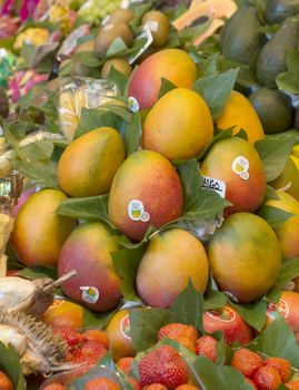 BARCELONA, SPAIN - JULY 6, 2015: Mango fruits at the Boqueria market in Barcelona.

Barcelona, Spain - July 6, 2015: Mango fruits at the Boqueria market in Barcelona.