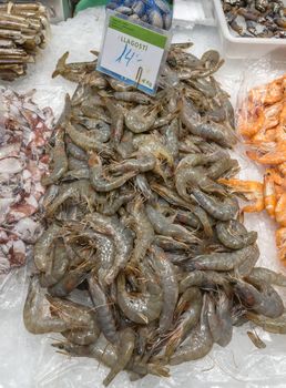 Fresh prawn lay on an ice.