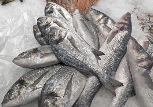 Selection of different fresh fish on display at the market in Barcelona.