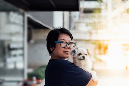 Asian woman and dog happy smile hugging her pat is a dog so cute mixed breed with Shih-Tzu, Pomeranian and Poodle at coffee shop cafe or restaurant with copy space
