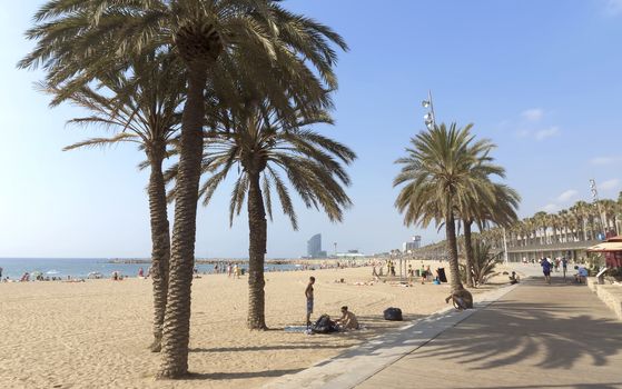 BARCELONA, SPAIN - JULY 12, 2015: View of Barceloneta Beach from promenade early morning.

Barcelona, Spain - July 12, 2015: View of Barceloneta Beach from promenade early morning. People are resting on the beach.