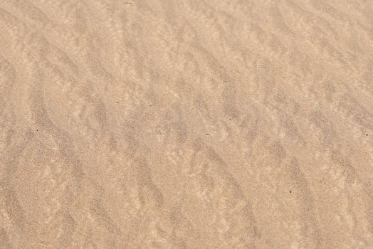 Real Desert sand texture and pattern for background or presentation